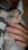 DSC02864.jpg