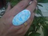 DSC00005.jpg