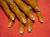 DSC02495.jpg