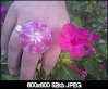 bague rose1.jpg