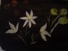 DSC00481.jpg
