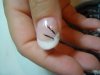 DSC00435.jpg