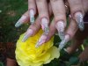 DSC02512.jpg