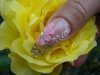 DSC02513.jpg