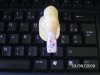 BILD0430.jpg