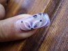 DSC00174.jpg