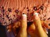 DSC03051.jpg