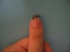 DSCF0422.jpg