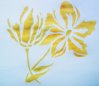 fleurs bizarres.jpg