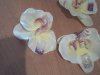 PICT0258.jpg
