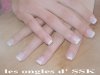 101MSDCF12.jpg