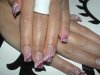DSC00476.jpg