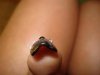 DSC02677.jpg