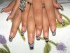 DSC00476.jpg