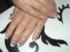DSC00484.jpg