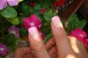 DSC04774.jpg