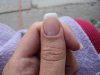 DSC00255.jpg