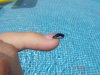 DSC04730.jpg