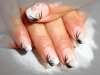 DSC00108.jpg