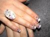 DSC00490.jpg