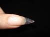 DSC01331.jpg