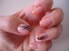DSC04027.jpg