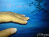 491566634_182754.gif