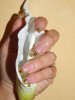 DSCF1691.jpg