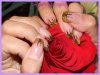 DSCF1697.jpg