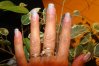 DSC04843.jpg