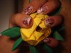 DSC03556.jpg