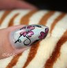 IMG_2498_modif2_petit.jpg
