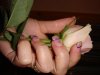 DSC02323.jpg