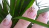 ongle sable 002.jpg