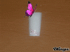 fleurieb.gif