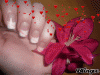 modèle corail hibiscus.gif