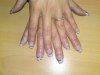 DSC00470.jpg