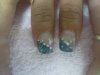 DSC00341.jpg