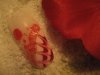 IMG_2491.jpg