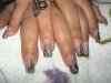 DSC00520.jpg