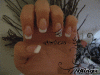 522271577_1574566.gif