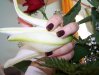 100_3743.jpg