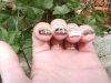 ongle greg 014.jpg