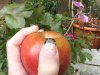 ongle greg 016.jpg