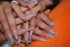 DSC_0828.jpg