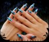 foils v bleu 019.JPG