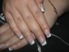 DSC00529.jpg