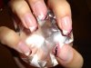 DSC01853.jpg