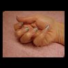 ONGLES CORINEE1.jpg