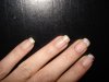 DSC01361.jpg